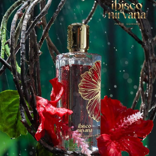 Ibisco nirvana paris corner